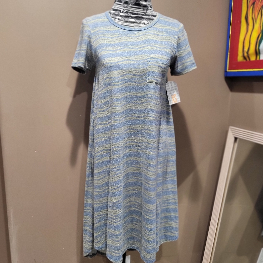 Lularoe Carly Blue & Green Swing Dress Sz XS